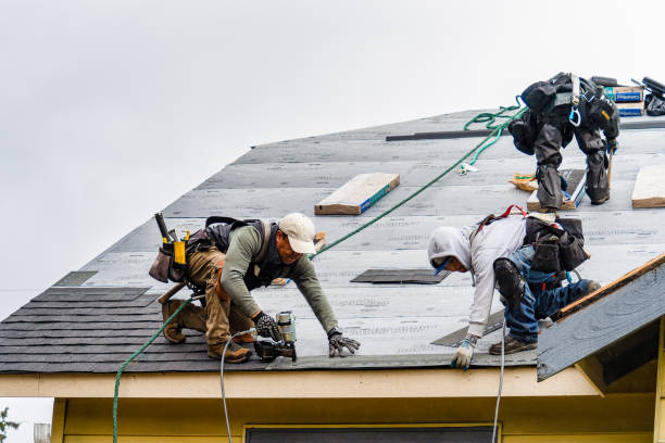 Professional Roofing technician working in Meriden, WY